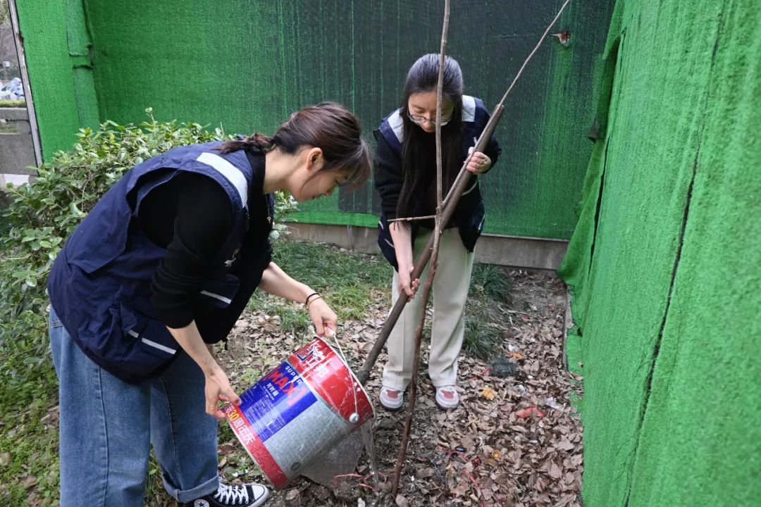 2024031201e.jpg 2024031201e.jpg